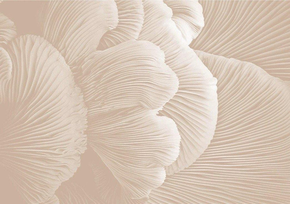 Spotlight on: Peptides - Aceology