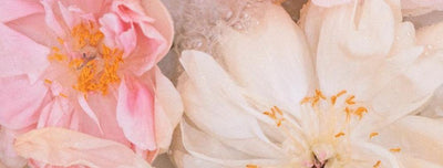 Let's talk about skin purging... - Aceology